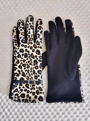 Handschoenen dames beschikbaar voor biedingen