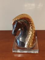 tête de cheval, Enlèvement