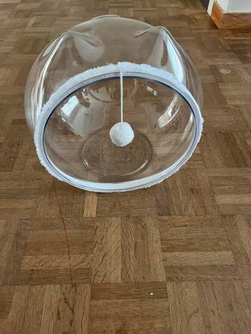 kattenmand beschikbaar voor biedingen