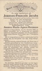 Frontstrepen oudstrijder 1914-18 Joannes Jacobs, Ophalen of Verzenden