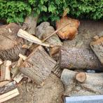Brandhout notenboom, Tuin en Terras, Brandhout, Minder dan 3 m³, Ophalen, Overige houtsoorten, Stammen