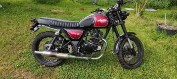 bullit hunt 125cc 2019, Particulier