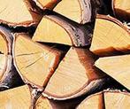 Gratis bomen voor brandhout, Tuin en Terras, Ophalen