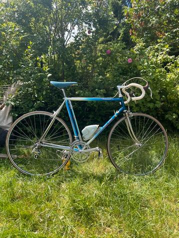 Velo Motobecane Team Champion 1981 beschikbaar voor biedingen
