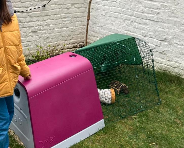 Clapier exterieur et enclos eglu go omlet, Animaux & Accessoires, Rongeurs & Lapins | Cages & Clapiers, Utilisé, Autres types