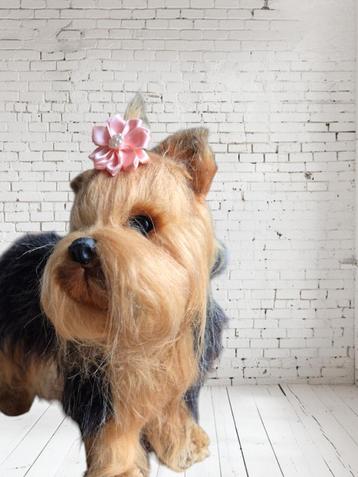 Hondenhaarelastiek: functioneel, grappig en mooi beschikbaar voor biedingen