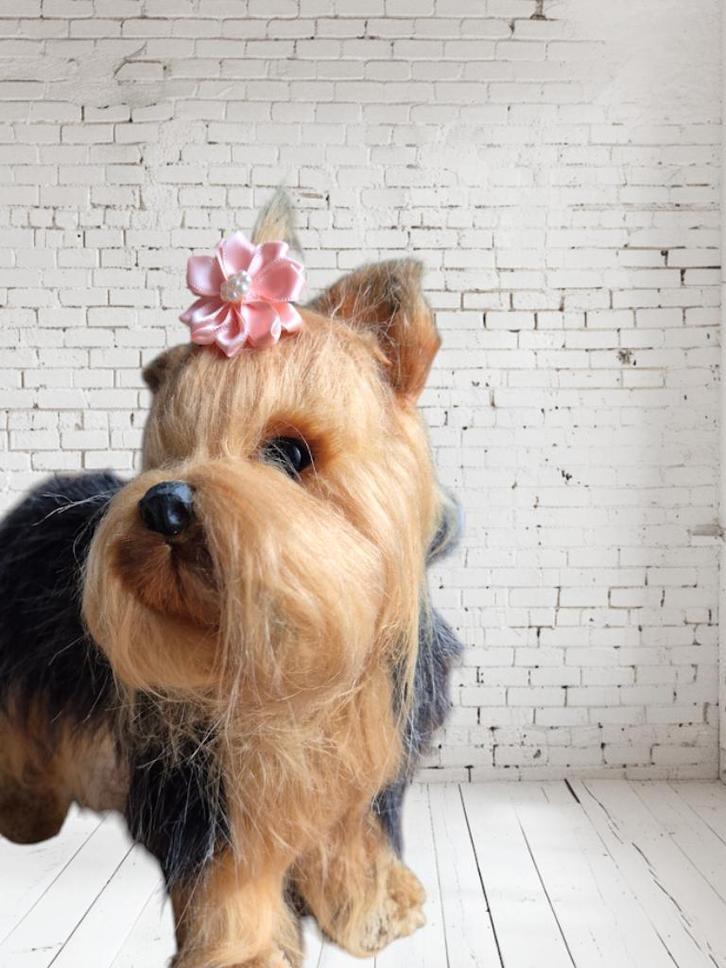 Hondenhaarelastiek: functioneel, grappig en mooi, Dieren en Toebehoren, Honden-accessoires, Nieuw, Verzenden