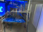 Pc gaming (offre du jour )999€, Ophalen of Verzenden