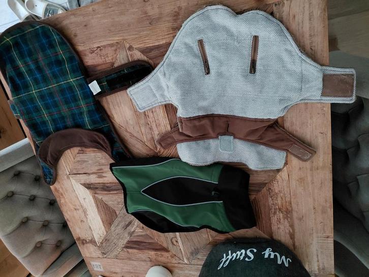 hondenjasjes in perfecte staat maat small, Dieren en Toebehoren, Hondenkleding, Zo goed als nieuw, Hondenjas, Ophalen
