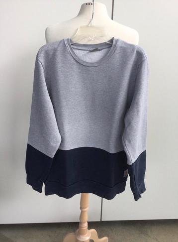Sweater Carhartt maat S, Blauw, Carhartt, Ophalen of Verzenden, Gedragen