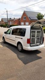 Cage de transport pour chien en véhicule, Animaux & Accessoires, Boîtes de transport, Enlèvement ou Envoi