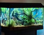 Juwel van 60 liter, Dieren en Toebehoren, Vissen | Aquaria en Toebehoren, Ophalen, Zo goed als nieuw