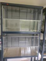 Terrarium, Dieren en Toebehoren, Ophalen, Gebruikt, Terrarium of Paludarium