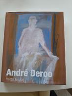 André Deroo.  Hugo Brutin Lannoo, Enlèvement