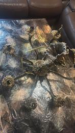 Lamp, Dieren en Toebehoren, Insecten en Spinnen