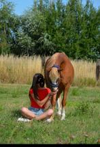 Lieve verzorgponys aangeboden, Dieren en Toebehoren
