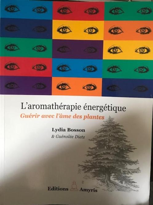 L'aromathérapie énergétique, Lydia Bosson, Livres, Santé, Diététique & Alimentation, Santé et Condition physique, Enlèvement