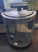 Aquarium halfmoon 30l, Dieren en Toebehoren, Ophalen