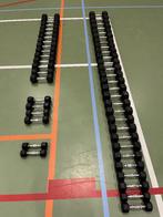 10 KG Rogue Rubber Hex Dumbbell - Pair, Sports & Fitness, Équipement de fitness, Enlèvement, Utilisé, Haltère