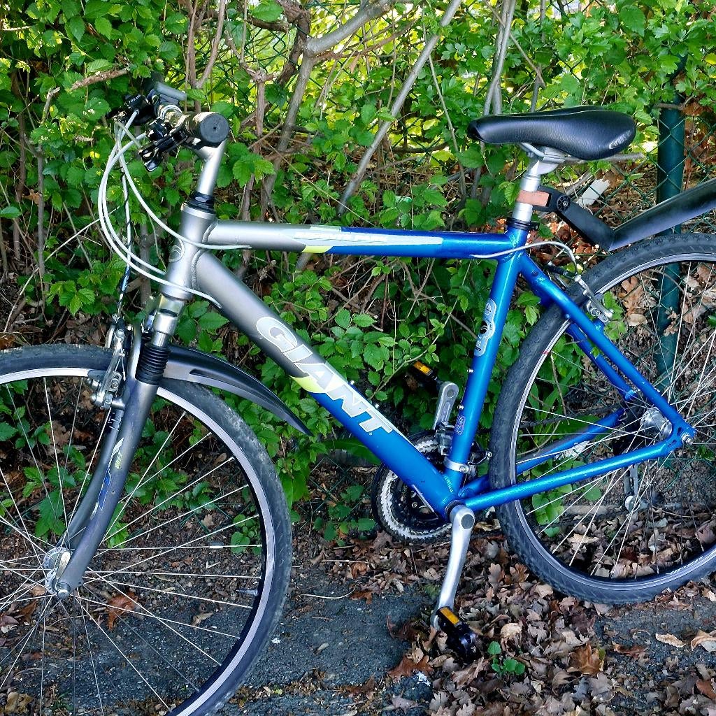 Velo, Vélos & Vélomoteurs, Vélos | Hommes | Vélos pour homme, Enlèvement ou Envoi, Giant, Vitesses