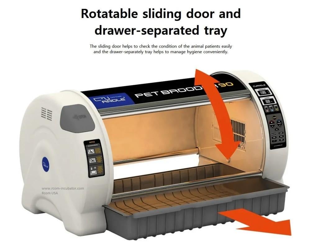 Opfokhokken: koopzondag bij kippenshop jordi, Ophalen of Verzenden, Nieuw, Broedmachine