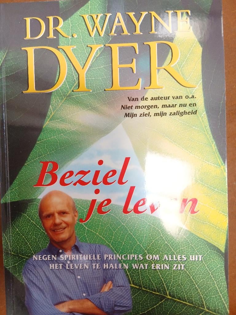 Boeken, Ophalen of Verzenden, Zo goed als nieuw