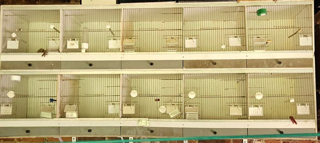 Cage pour oiseaux, Animaux & Accessoires, Enlèvement