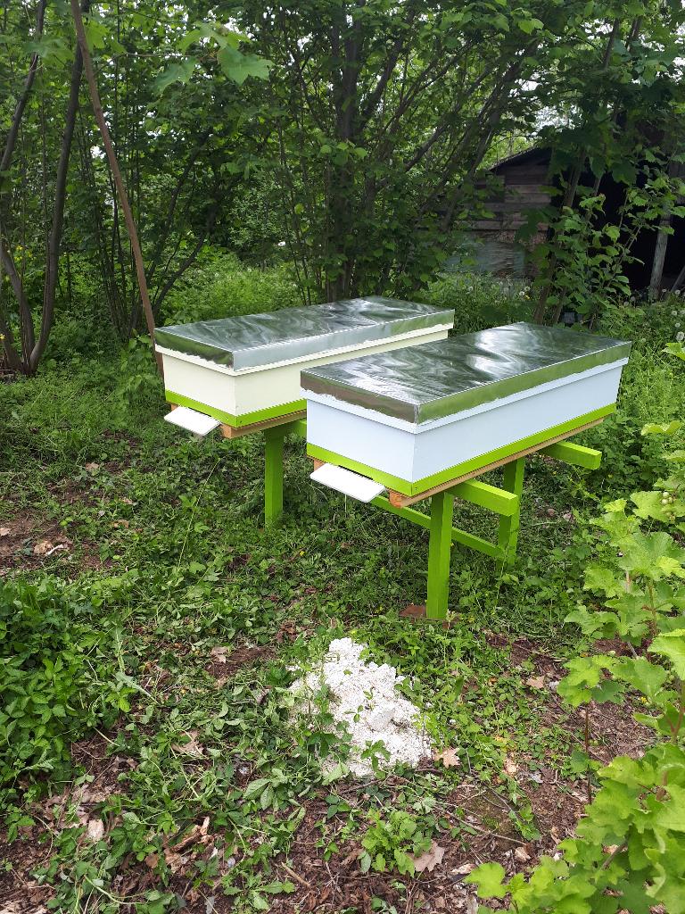 Horizontale bijenkasten, Dieren en Toebehoren, Insecten en Spinnen, Bijen