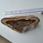 GESTEENTE, Dieren en Toebehoren, Ophalen