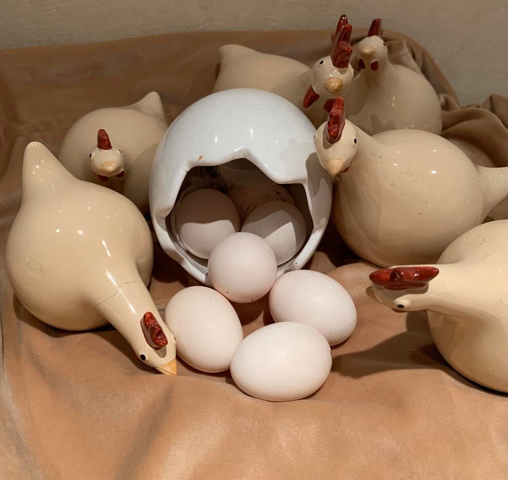 Broedeieren serama raszuiver glad en zijdeveer