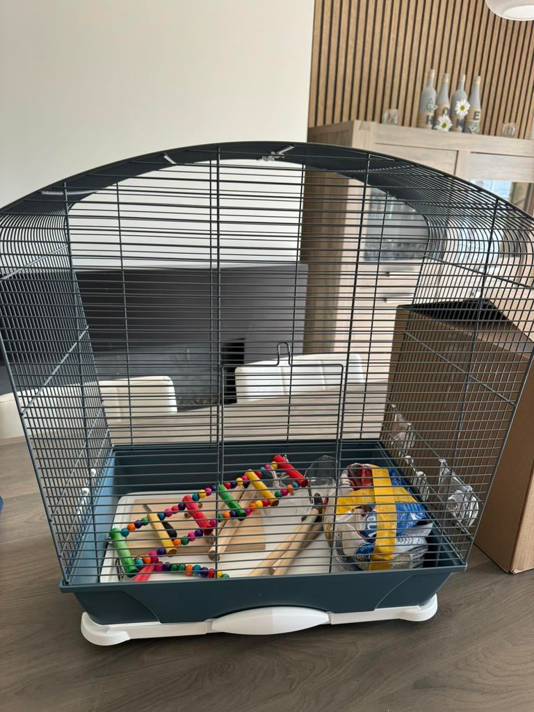 Vogelkooi met toebehoren, Ophalen, Zo goed als nieuw, Vogelkooi