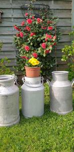 3 Cannes à lait des années 40-50 en aluminium, Enlèvement