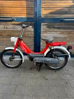 Couleur rouge Honda DX d'origine, Vélos & Vélomoteurs, Cyclomoteurs | Honda, Enlèvement