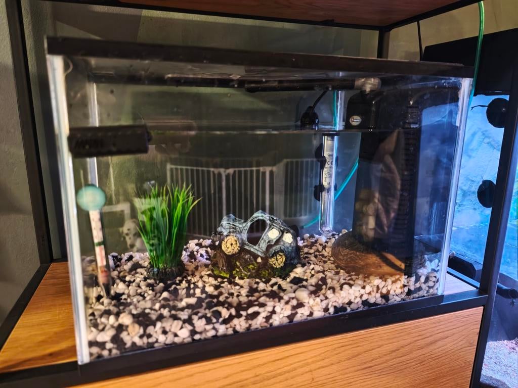 Aqaurium met toebehoren te koop! VASTE PRIJS/GEEN BIEDEN!, Animaux & Accessoires, Poissons | Aquariums & Accessoires, Enlèvement