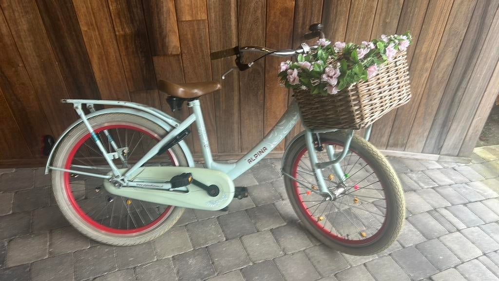 Meisjesfiets alpina 22, Fietsen en Brommers, Fietsen | Meisjes, Ophalen, Zo goed als nieuw