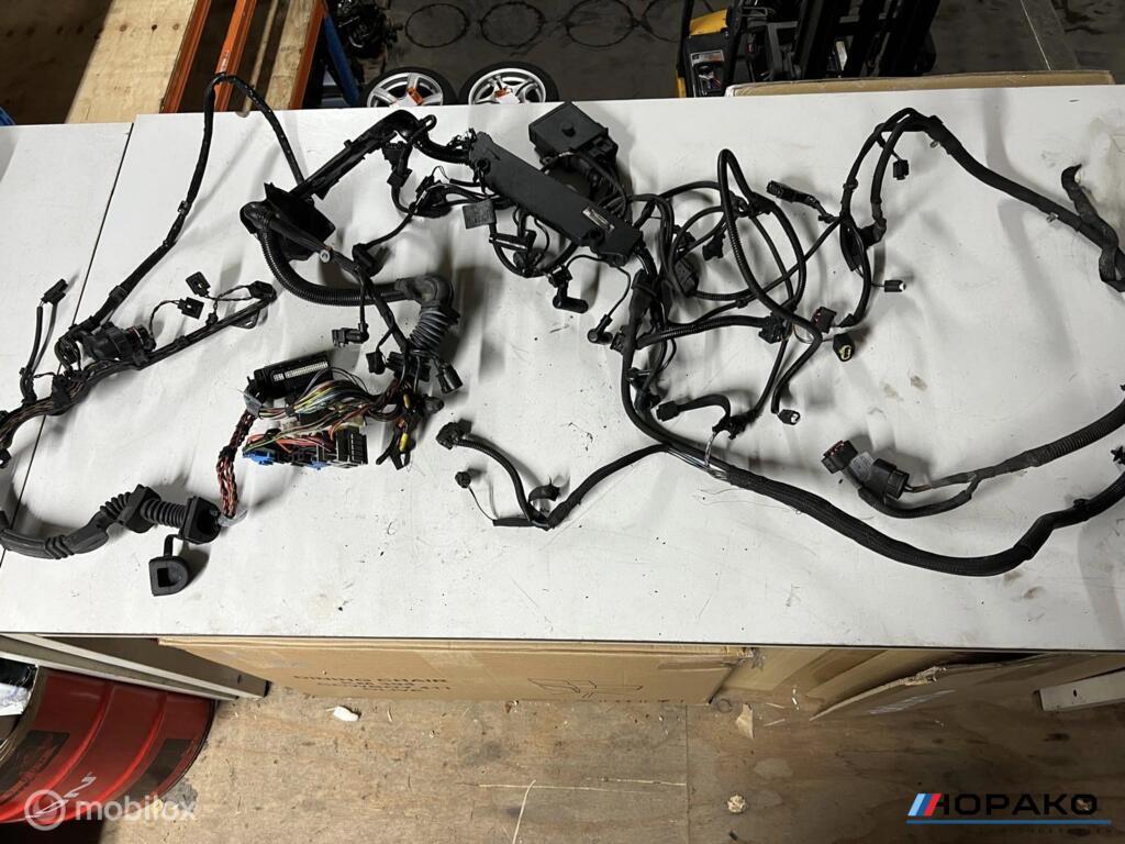 Kabelboom motor BMW E6x 535D M57D4, Enlèvement ou Envoi, Einsteinlaan 5 rijswijk, Bmw, Utilisé