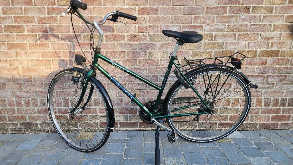 Damesfiets batavus / kotfiets in orde, Ophalen, Gebruikt, Velgrem, Versnellingen