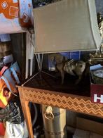 Bronzen paard, Ophalen of Verzenden