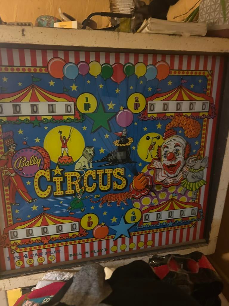Flipperkast bally circus 1977, Collections, Machines | Flipper (jeu), Enlèvement, Comme neuf, Flipper (jeu), Bally