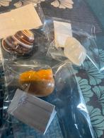 Escargots, Collections, Enlèvement ou Envoi