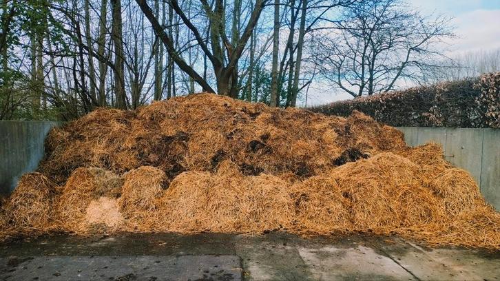 Paardenmest, Zakelijke goederen, Landbouw | Aardappelen, Groenten, Fruit en Vlees, Ophalen