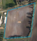 Landbouwgrond/weiland in Opglabbeek te koop, Immo, Opglabbeek, Ventes sans courtier, 1500 m² ou plus