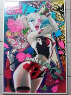 2 posters van Harley Quin, Ophalen, Rechthoekig Staand, Met lijst, Deurposter of groter