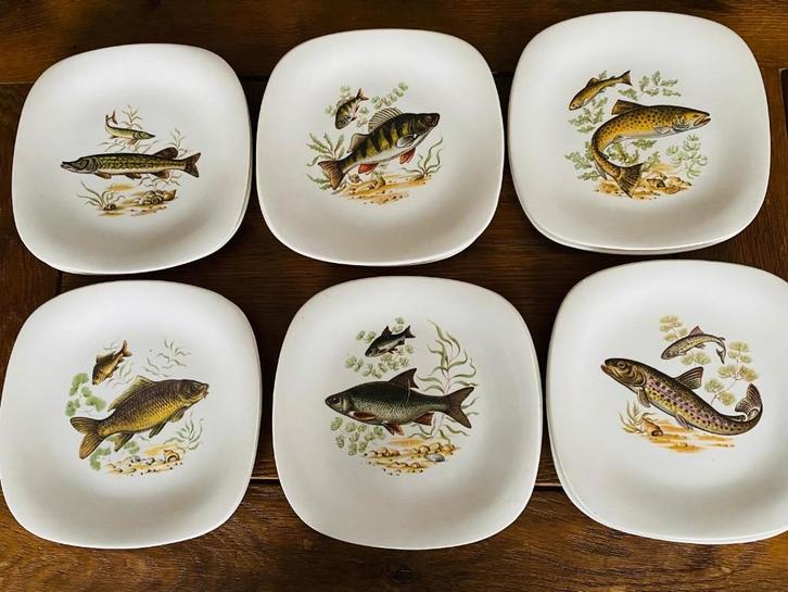 Boch Visborden 12 stuks., Huis en Inrichting, Keuken | Servies, Zo goed als nieuw, Bord(en), Ophalen