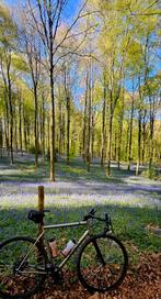 Par Nicholas Yukon Rohloff Gates Titanium Gravel/Tour/Cross, Autres marques, 10 à 15 vitesses, Comme neuf, Enlèvement