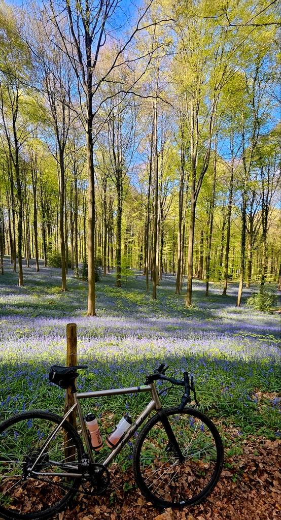 Par Nicholas Yukon Rohloff Gates Titanium Gravel/Tour/Cross, Vélos & Vélomoteurs, Vélos | Hommes | Vélos de sport & Vélo de randonnée
