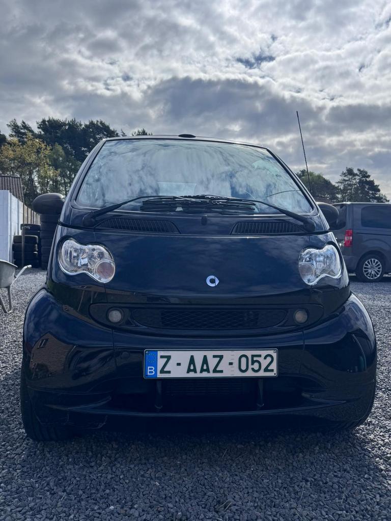 SMART FOR TWO BRABUS - CABRIO, Autos, Cuir, Achat, Entreprise, 0 kg