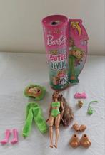 Barbie cutie reveal kikker/hond, Enlèvement, Barbie