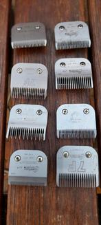 Tondeuse Oster golden speech A5