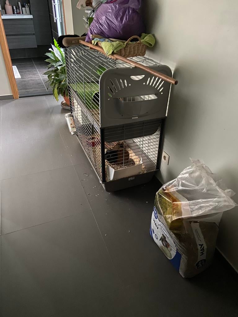 Cavia kooi + reiskot + buitenren + speelgoed, Dieren en Toebehoren, Ophalen, Kooi, 60 tot 90 cm, Zo goed als nieuw